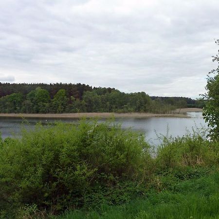 Bungalow Am Kuestrinsee Bei Lychen Zewnętrze zdjęcie