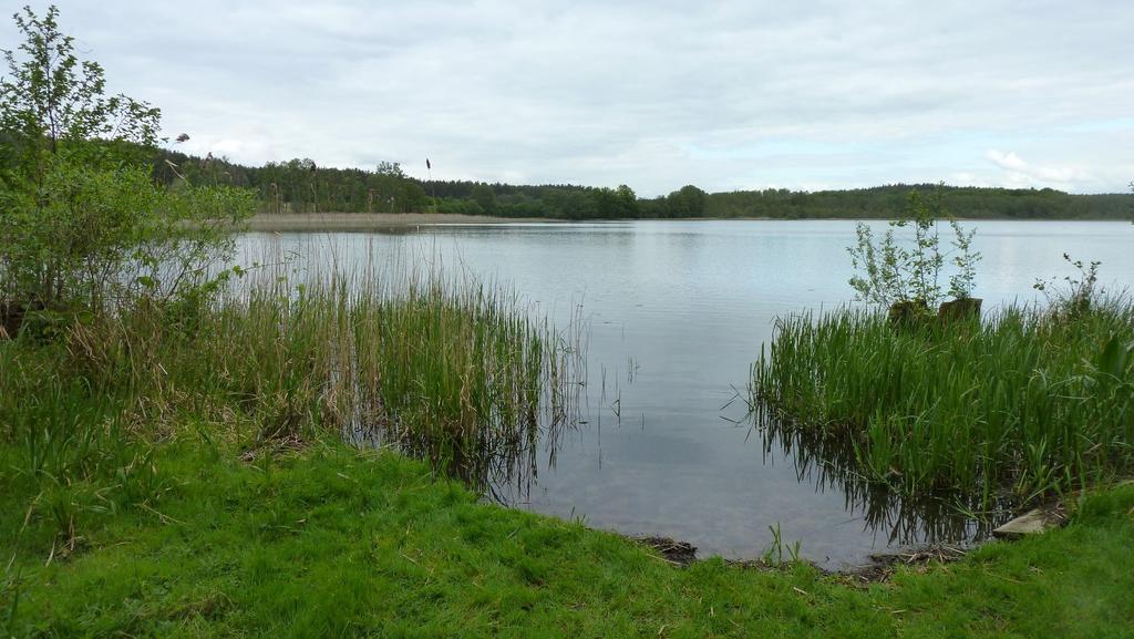 Bungalow Am Kuestrinsee Bei Lychen Zewnętrze zdjęcie